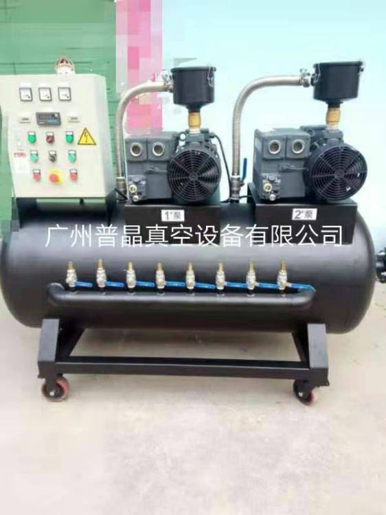 普旭RA0100F真空泵系統(tǒng) 風(fēng)電行業(yè)雙泵系統(tǒng) 進(jìn)口真空泵系統(tǒng)